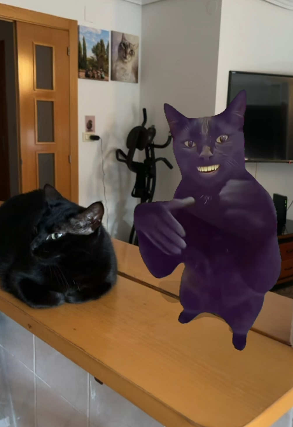 @BlackCatsMatter