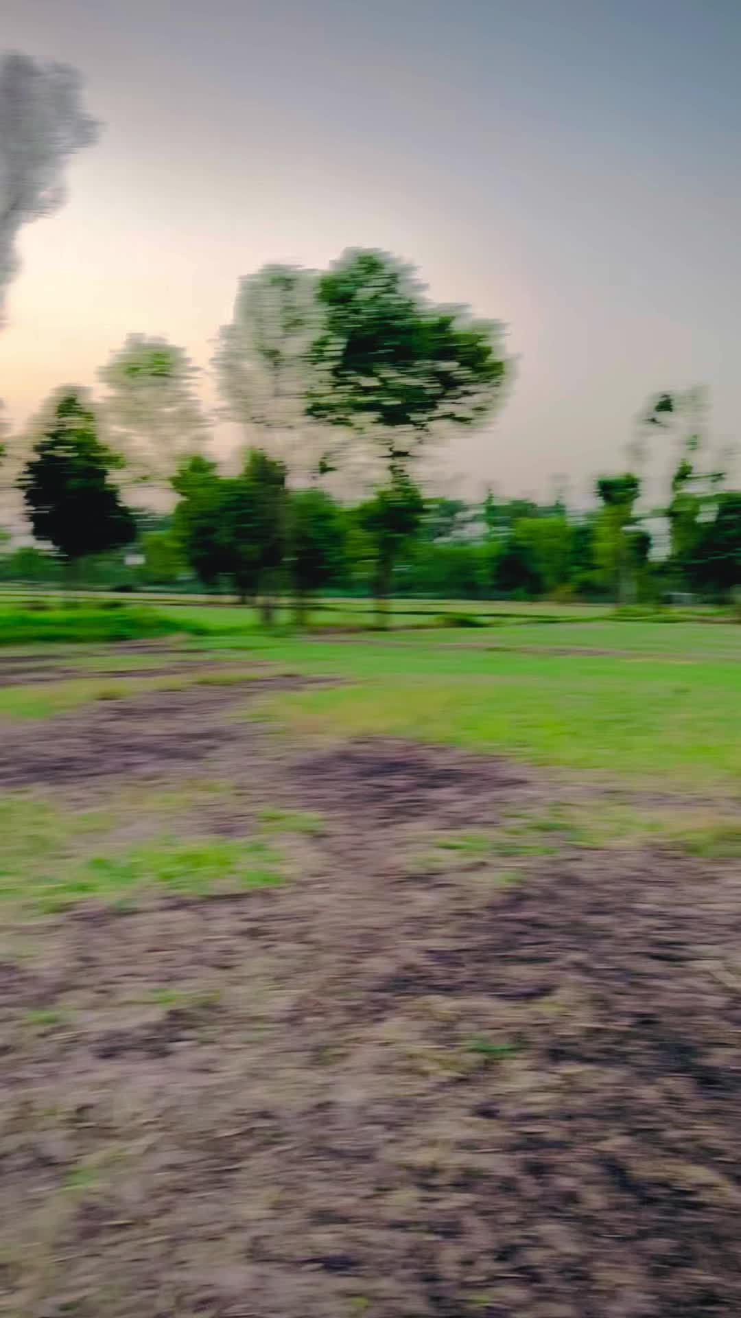 @👑فانی لاڈلا شکرگڑھ 🥷