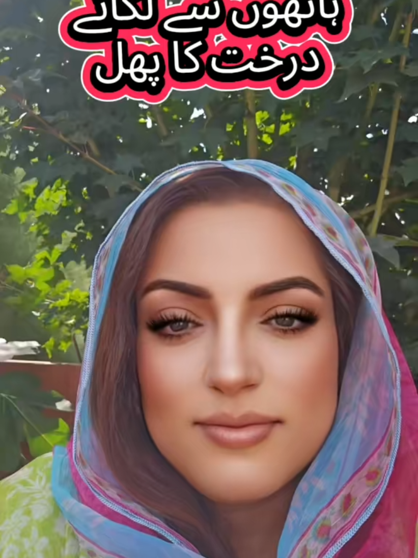 @zindgi khubsuret ha