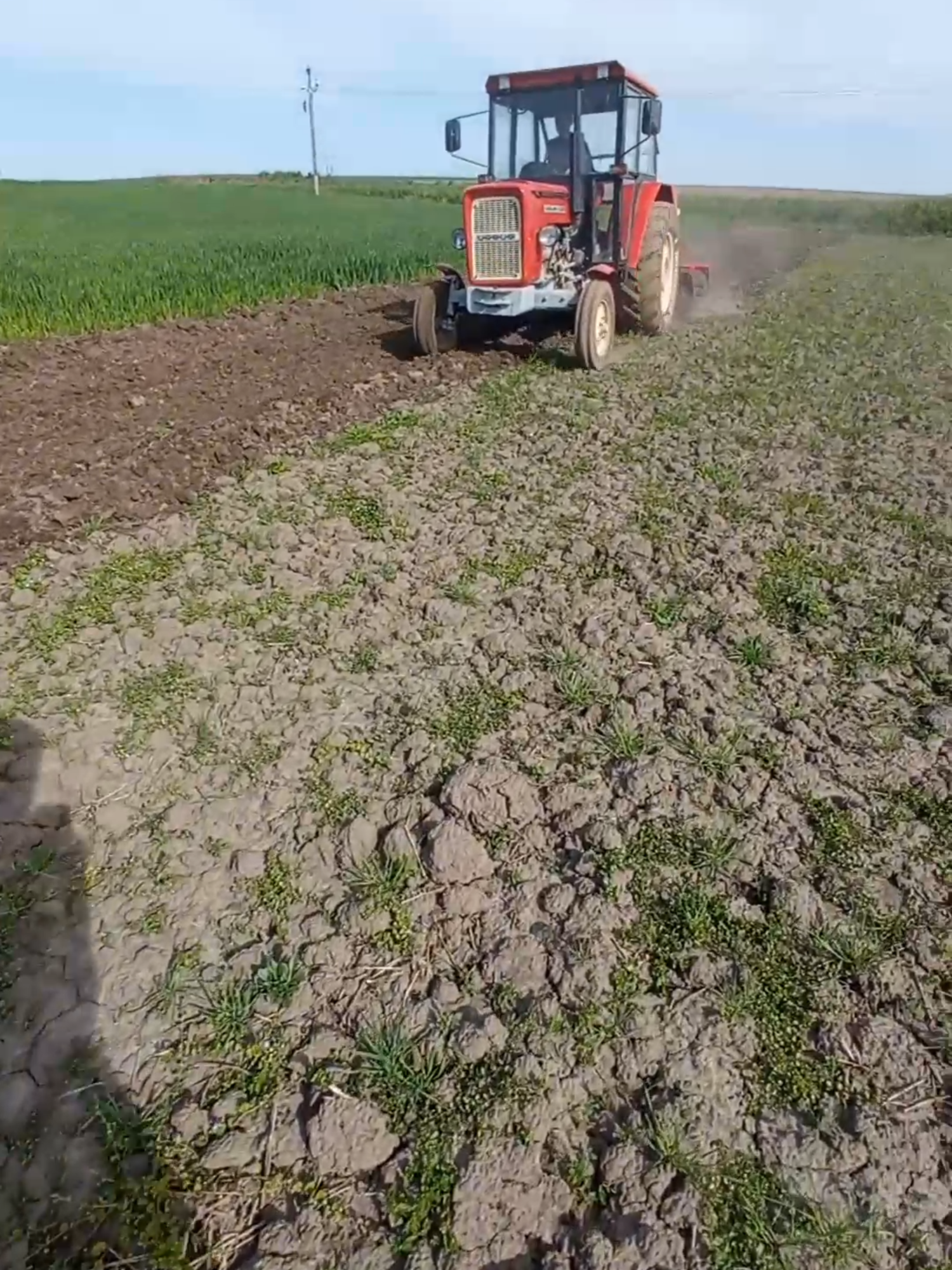 @GR_Klątwy_Lubelskie 💪🚜😎