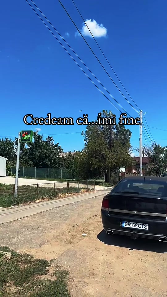 @renaldo