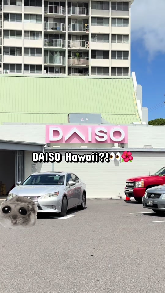 @Aloha Wendyðºð¶