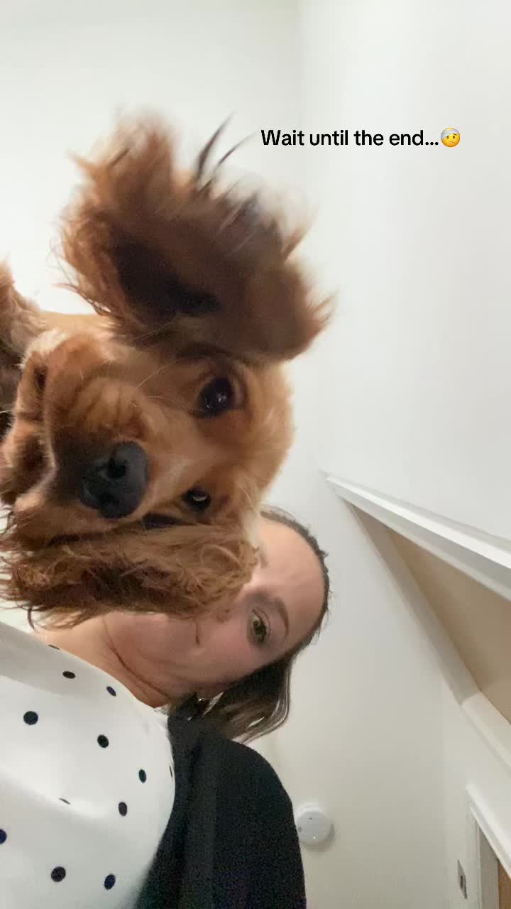 @Rach & Milo 🧡