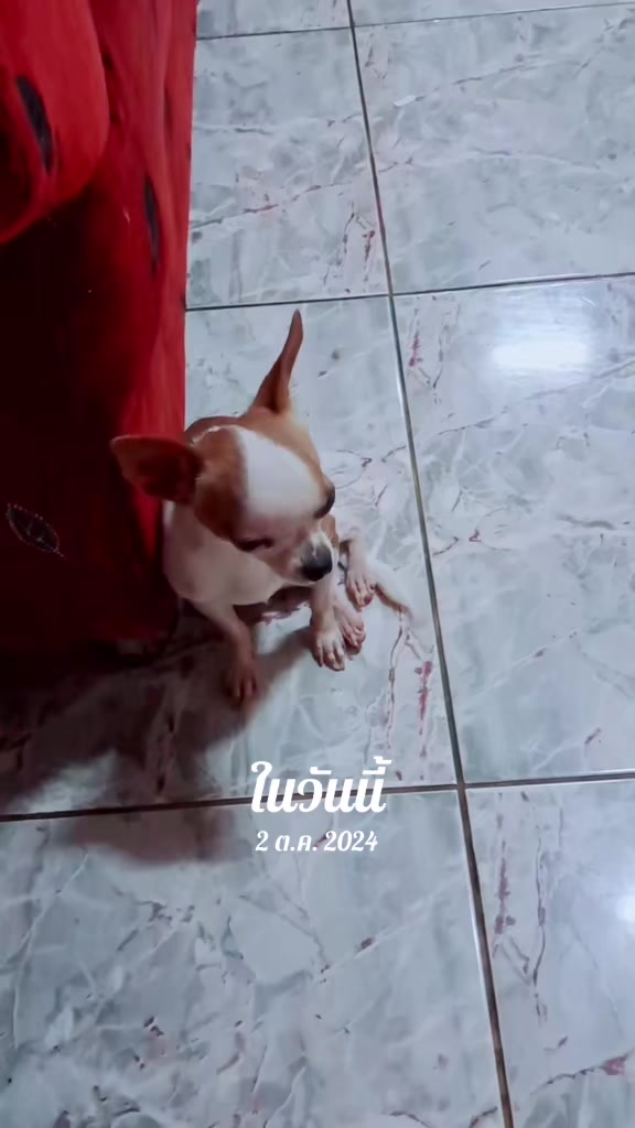 @🌿nutcha🌿