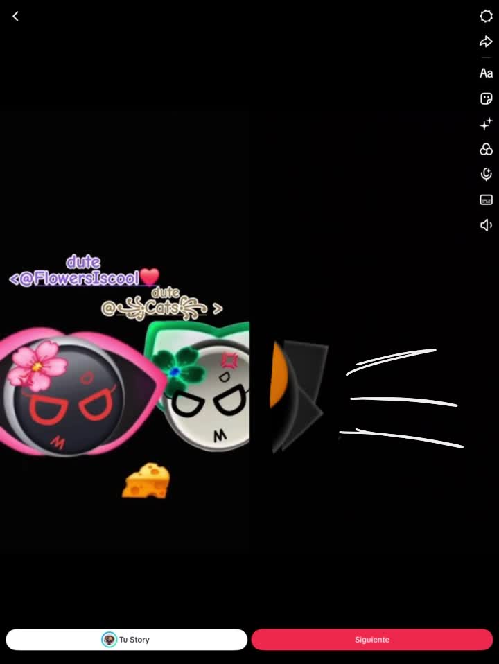 @꧁Cats꧂