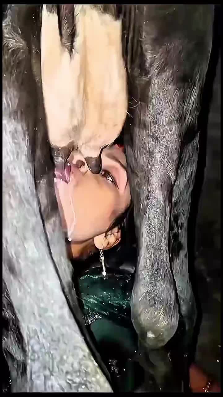 @Nimra