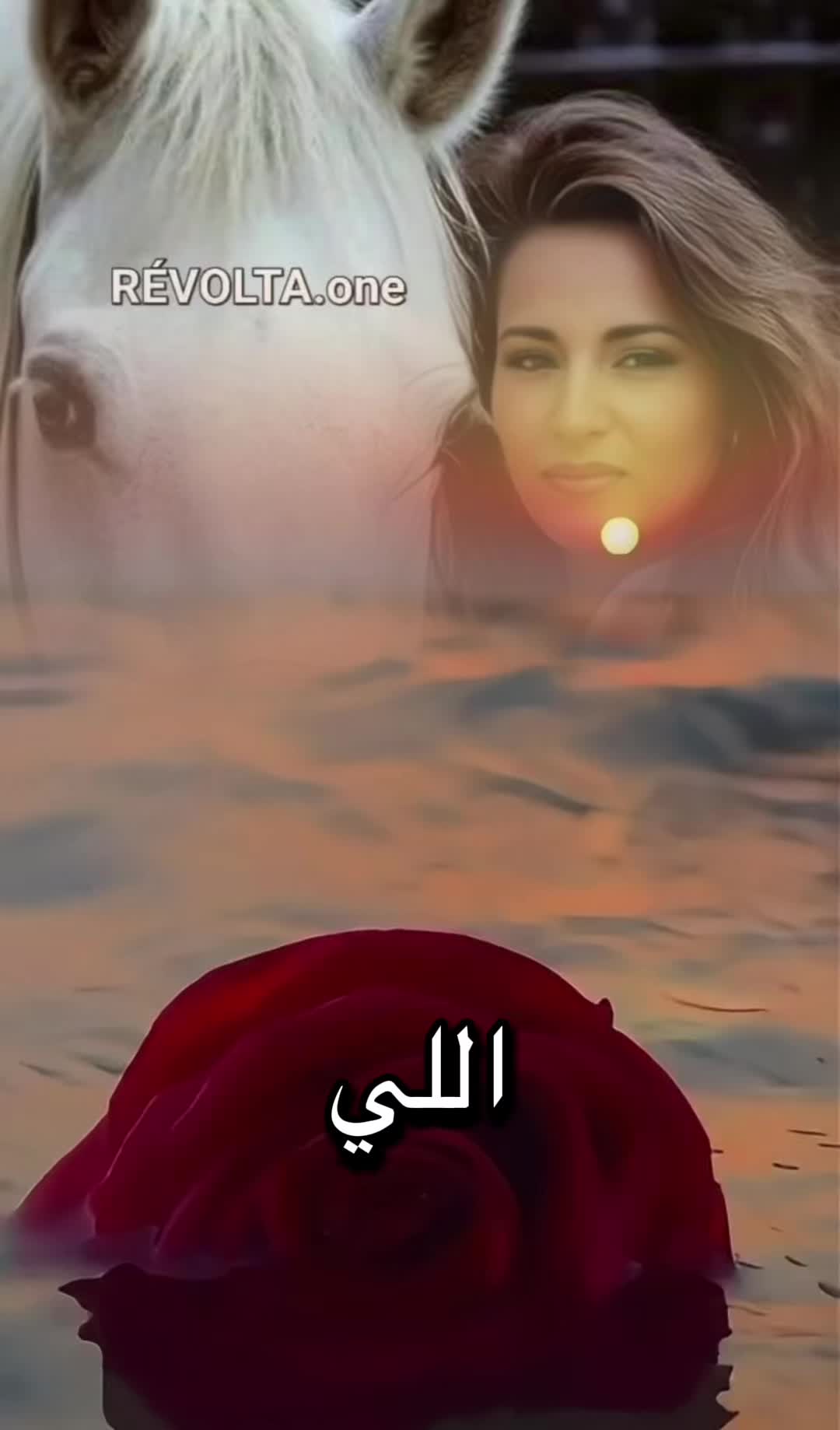 @🌶️ لبؤة ملكية🌶️