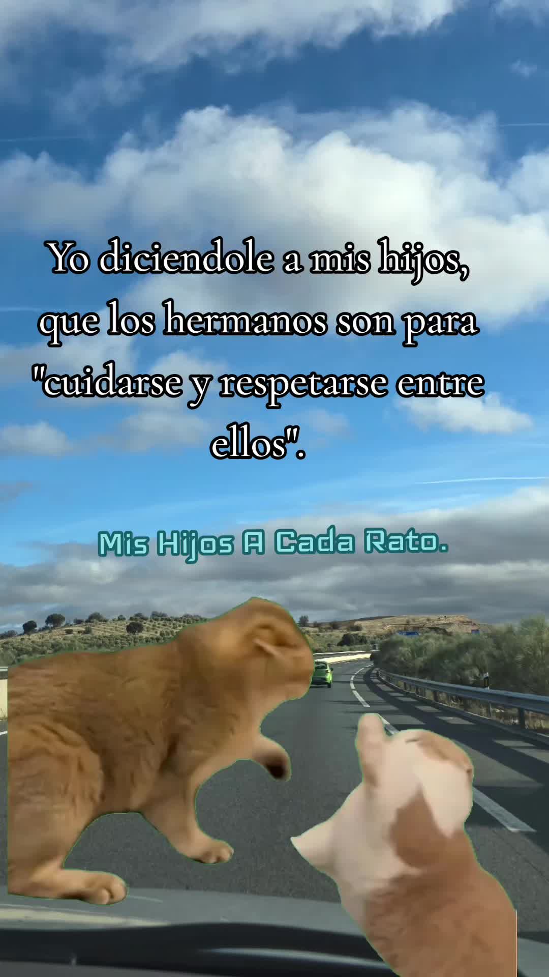 @Sey_Sevilla💙🤍💙