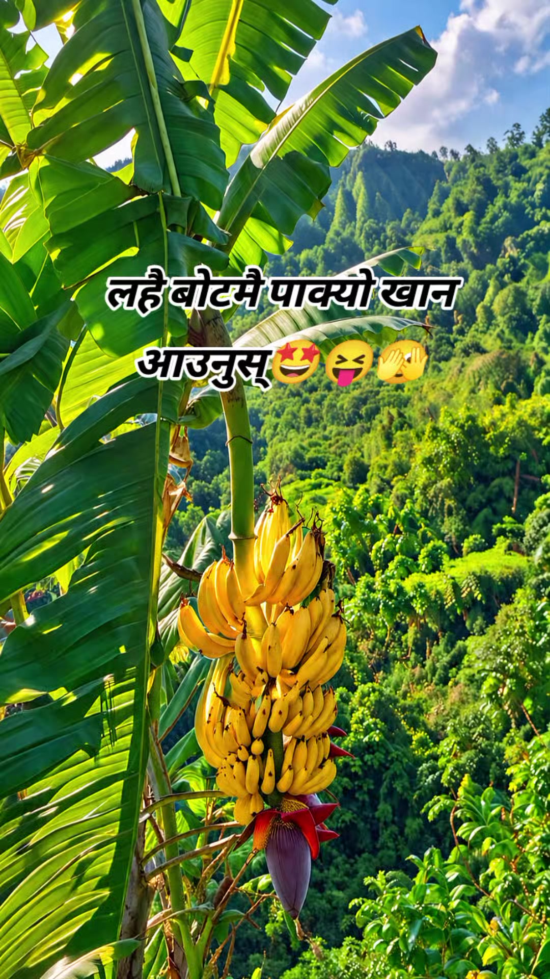 @Renuka Khadka❣️🇳🇵