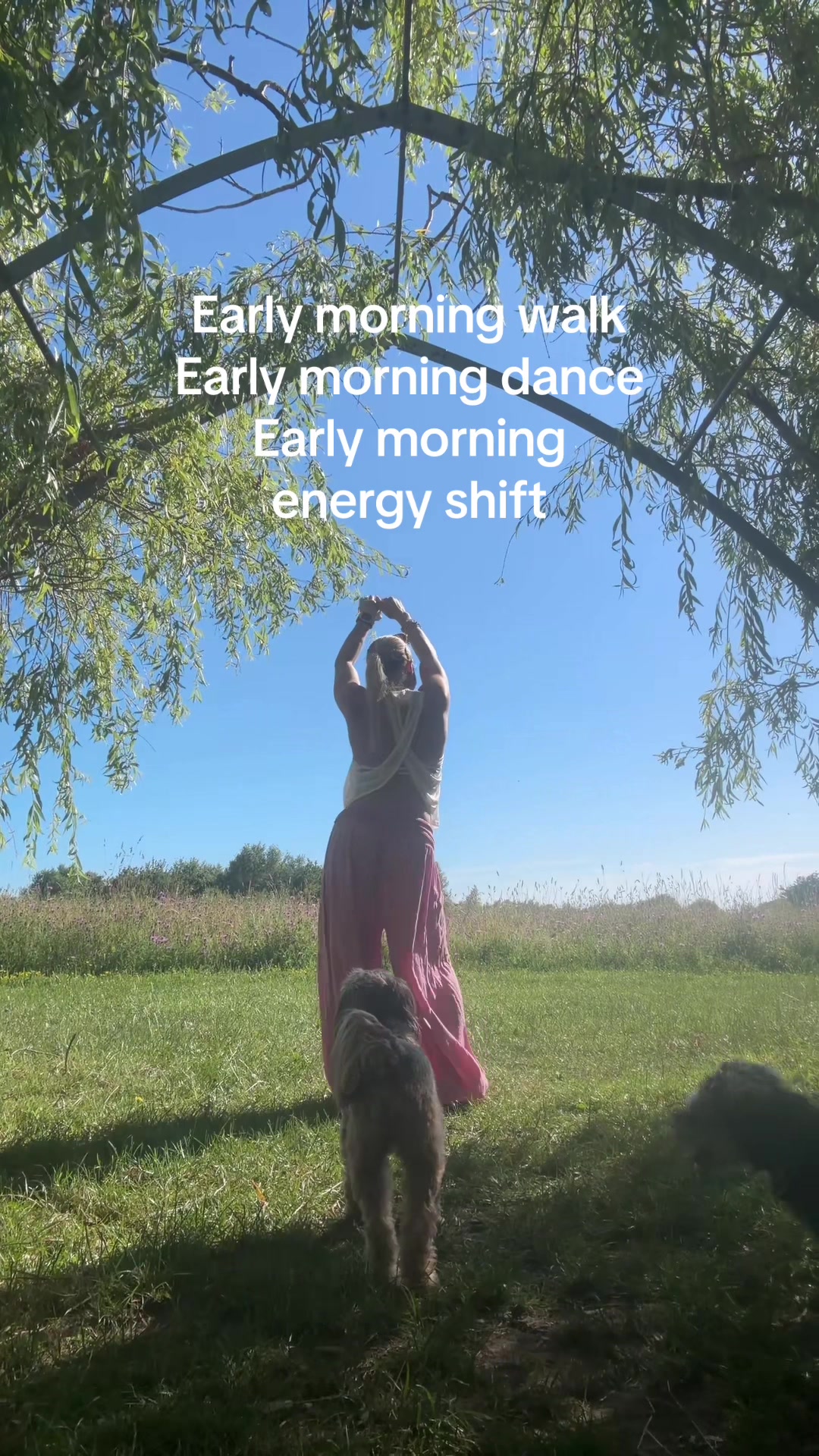 @forest.moon.wellbeing