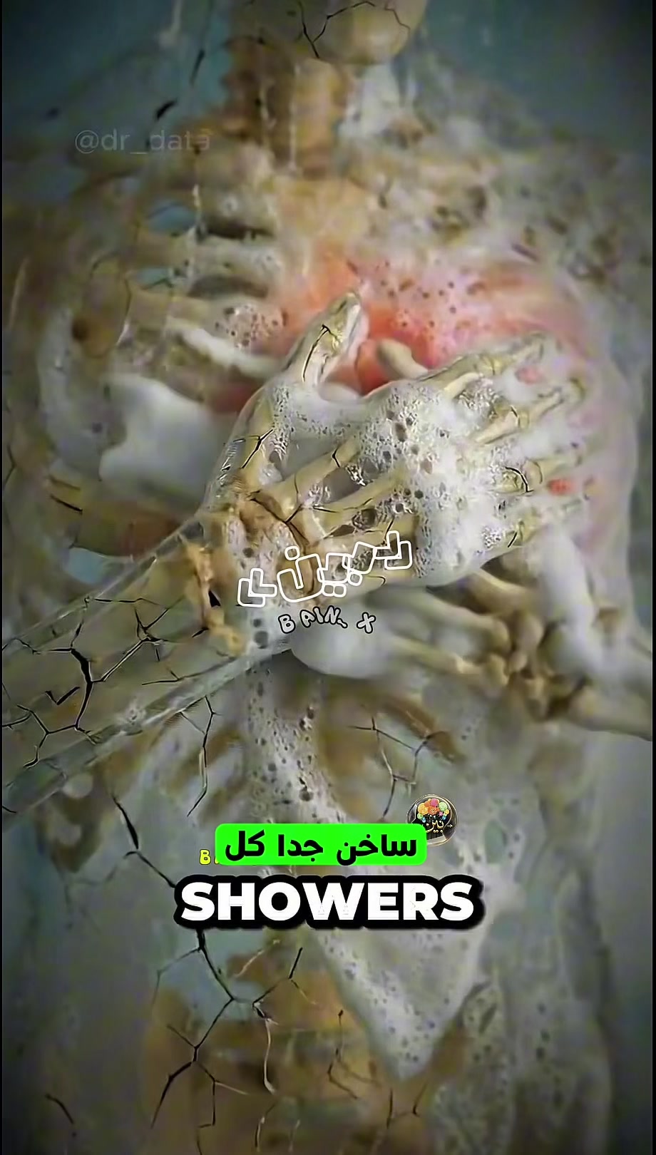 @«بين»