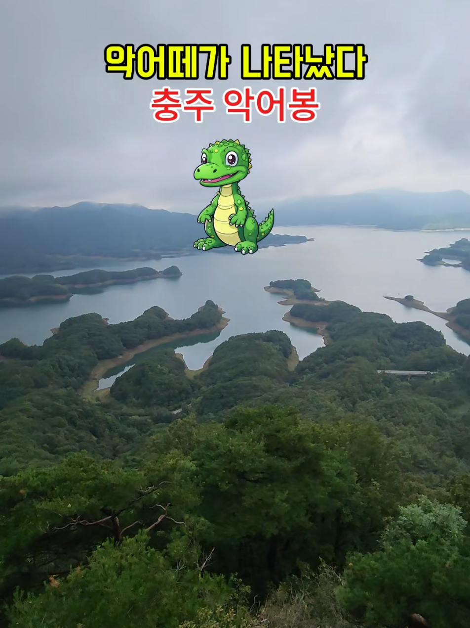@로즈