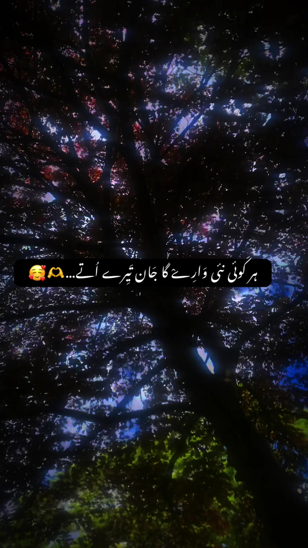 @pkboy