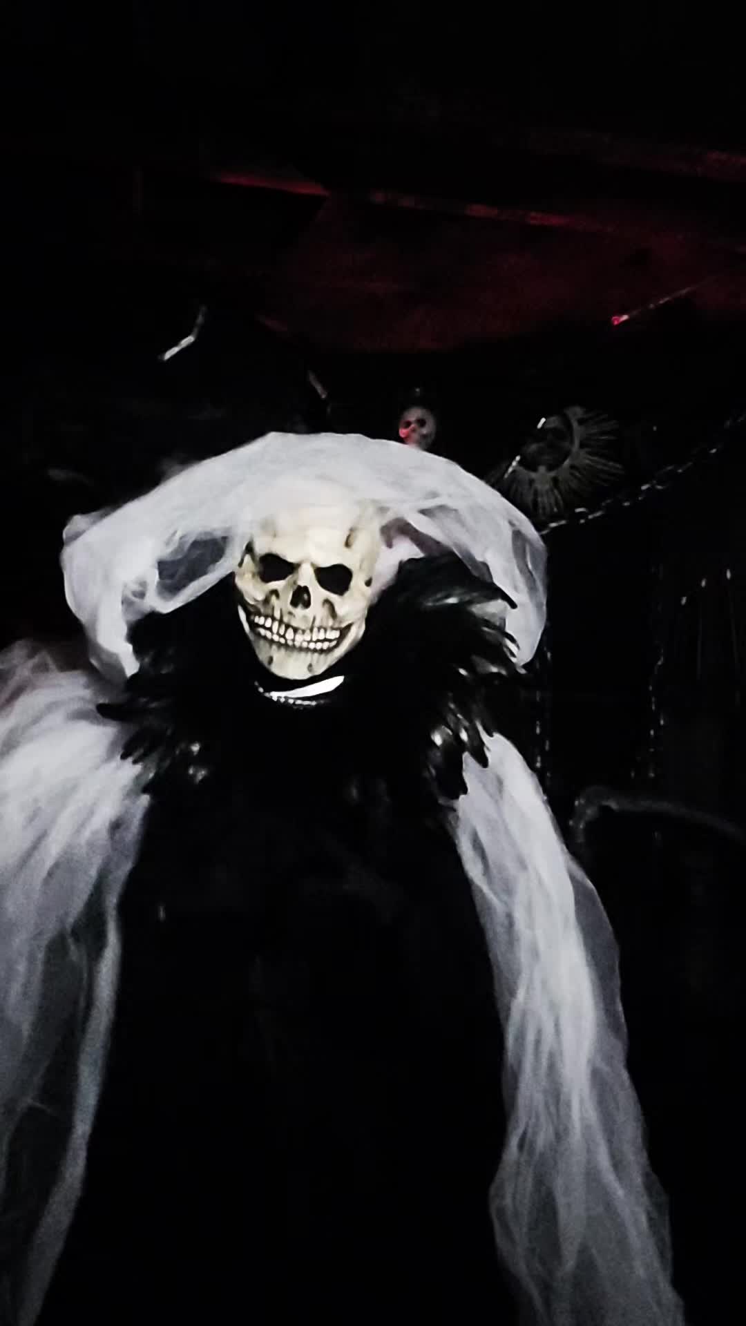 @DarkWonderland