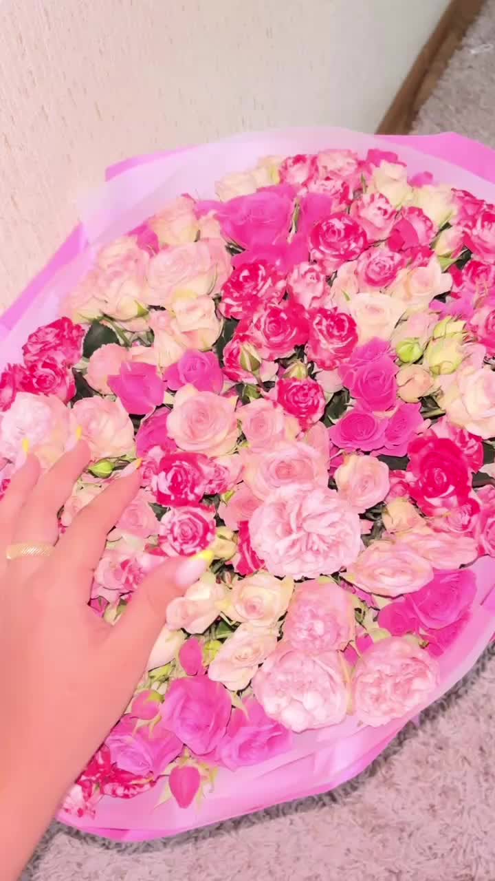 @alimkulovaazi