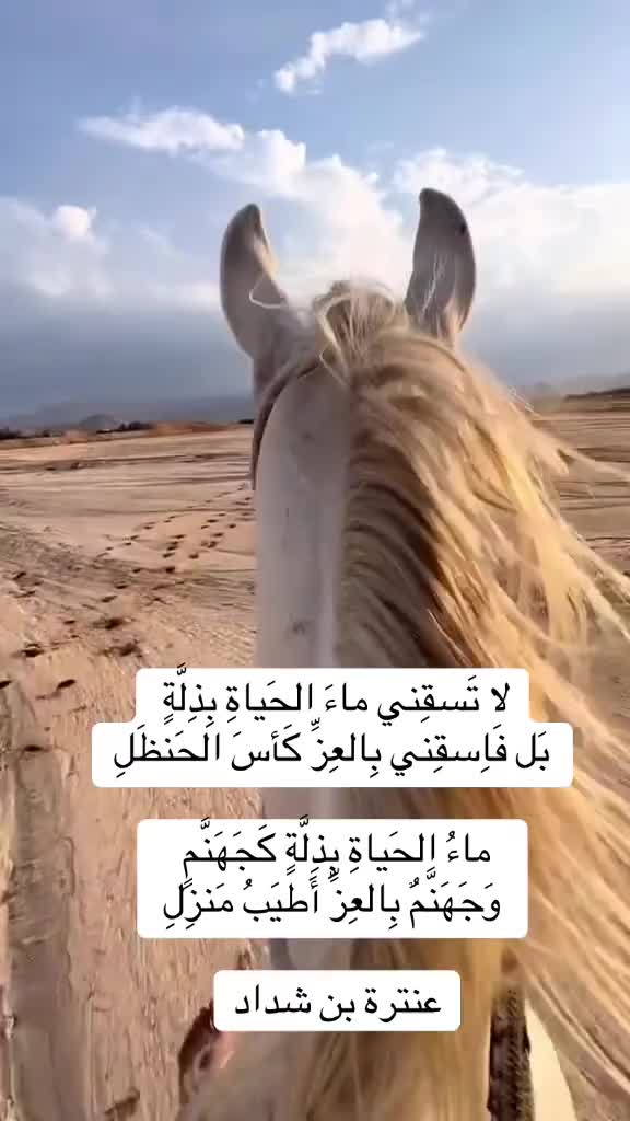 @نصار الجربا