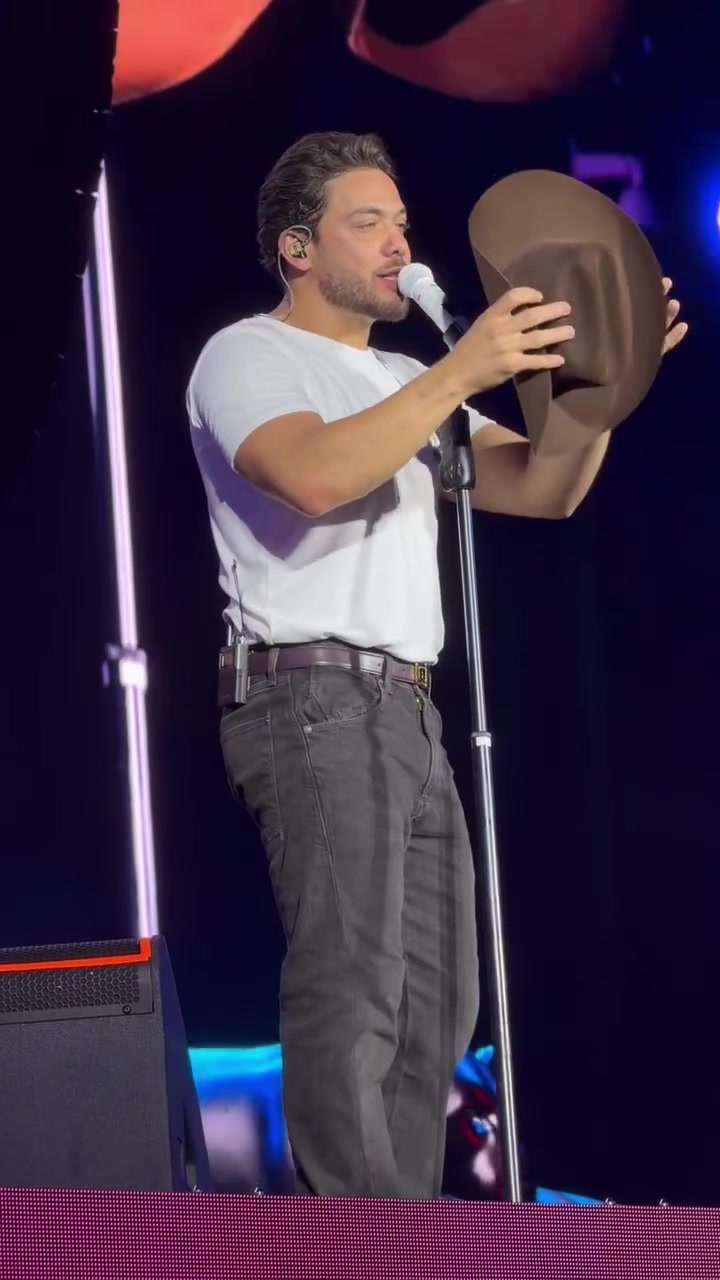 @Wesley Safadão
