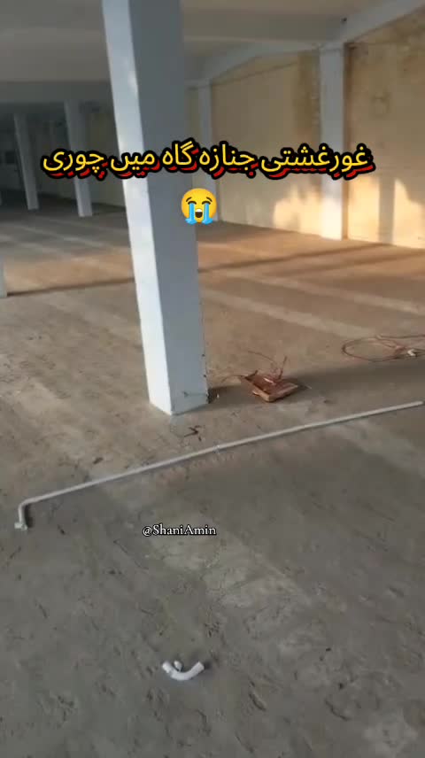 @𝐒𝐡𝐚𝐧𝐢 𝐀𝐦𝐢𝐧