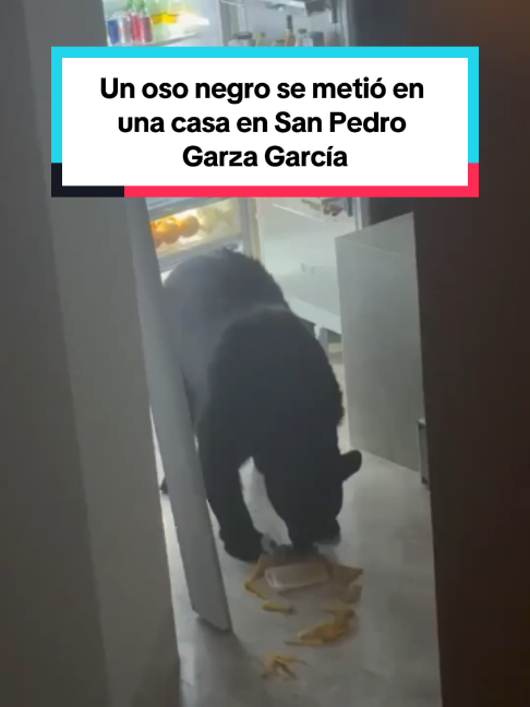 @El País