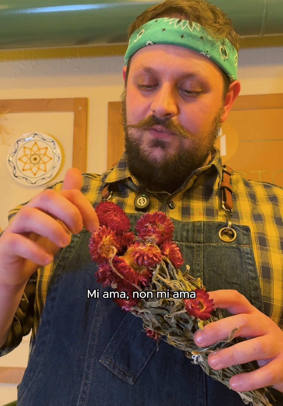 @Il Mannarino