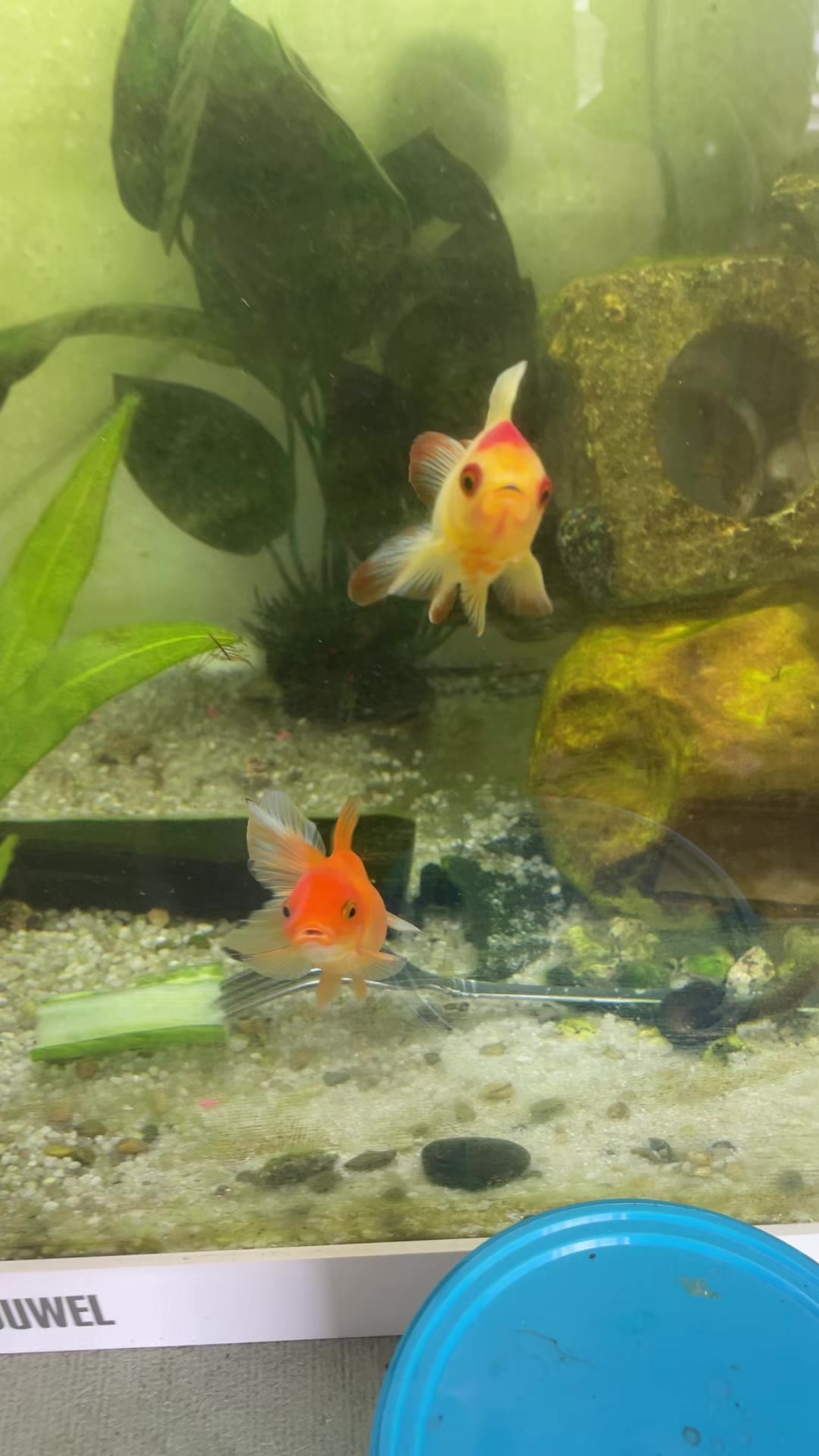 @CRBaquatics