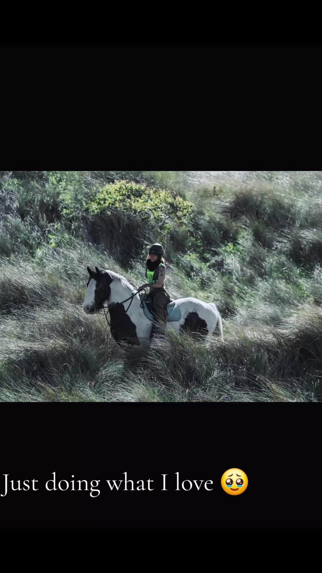 @Sinead 🐴 🖤💜🏍
