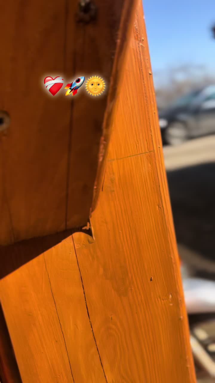 @ȘTEFAN.ncl 🌲