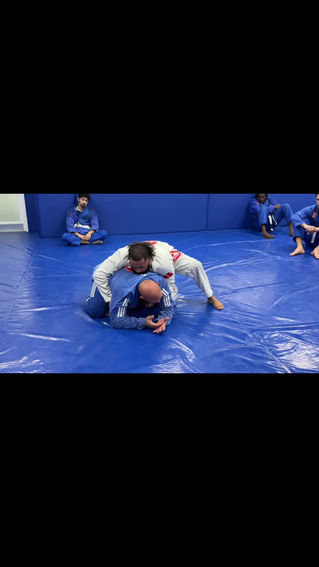 @BJJ-MMA
