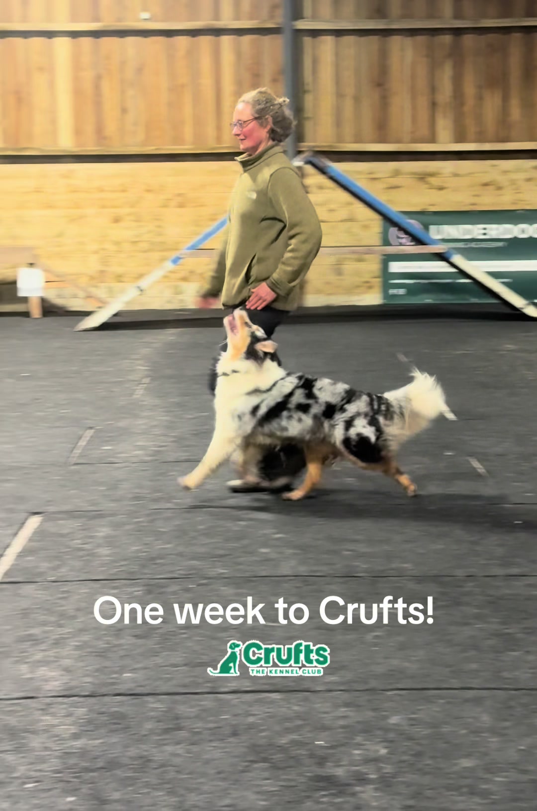 @thedogsportscoach