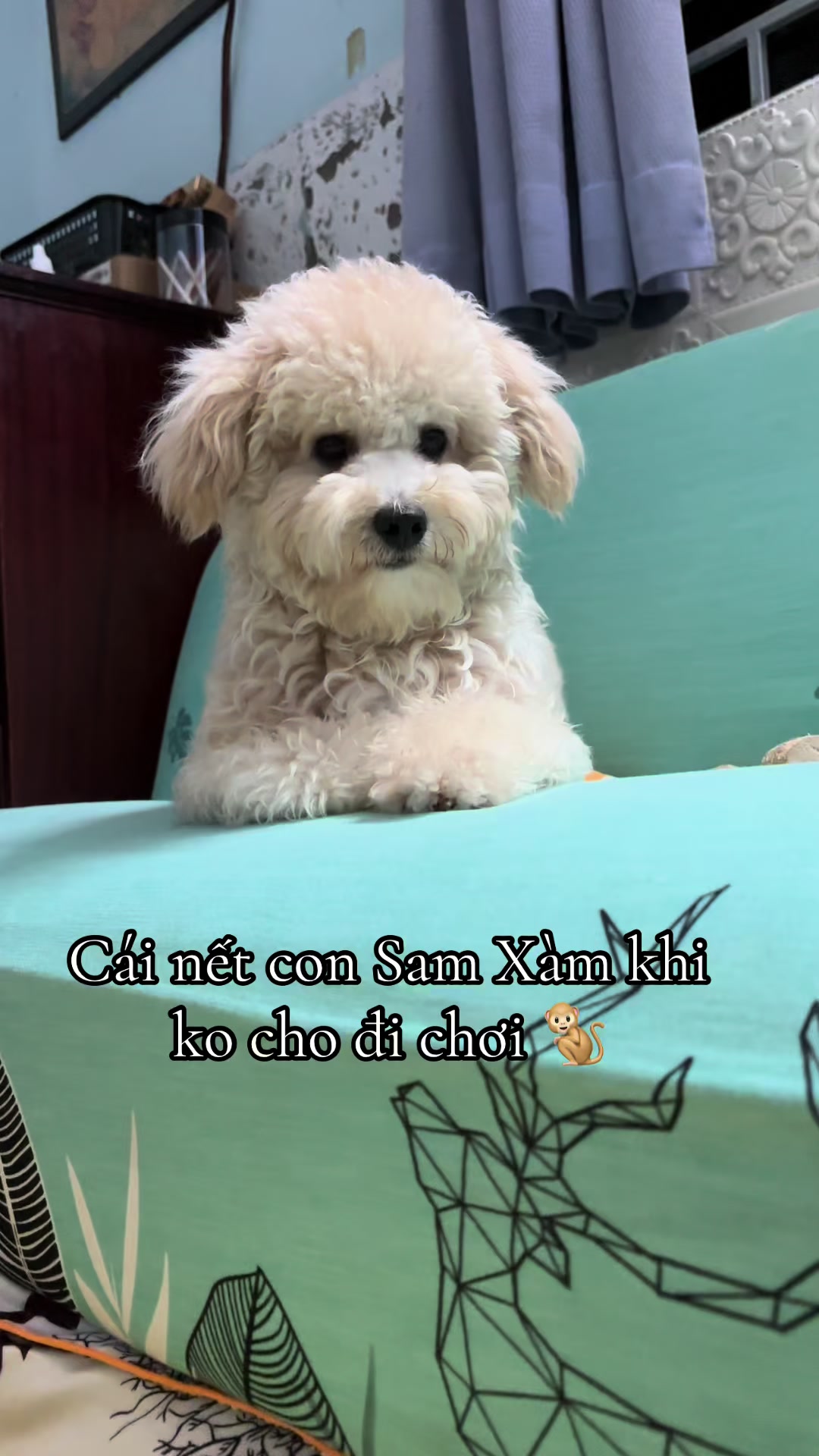 @Sam Xàm phiêu lưu ký