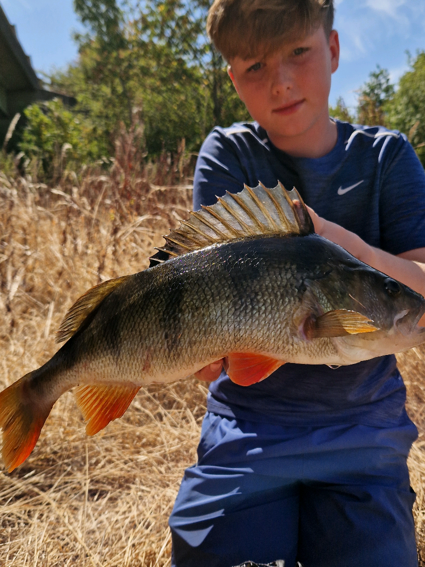 @Carpy Brez
