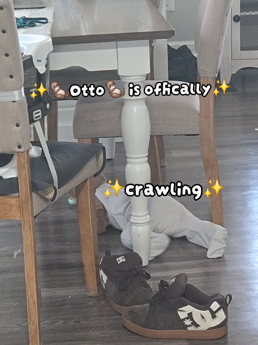 @🦋olly
