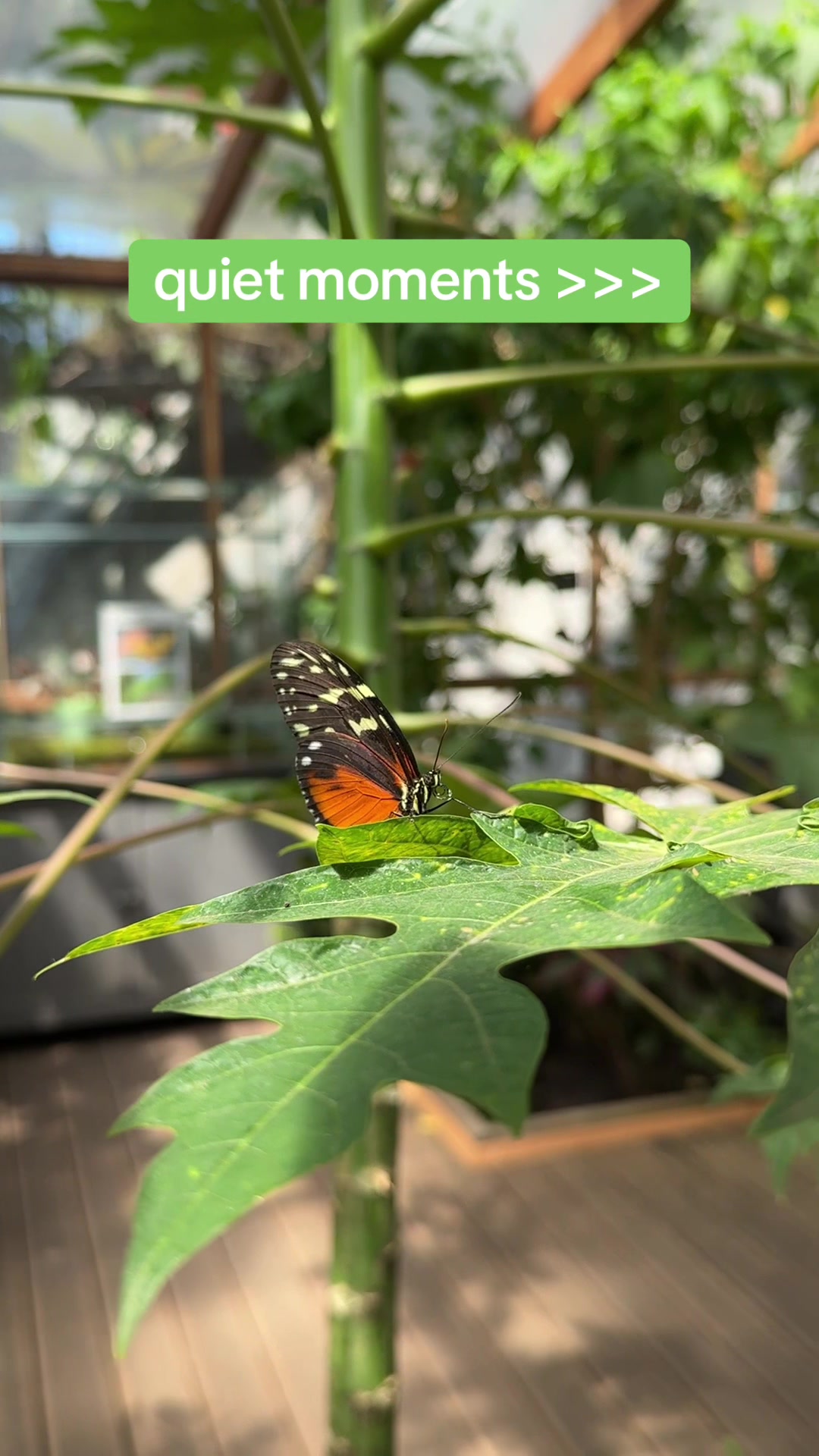 @Biosphäre Potsdam
