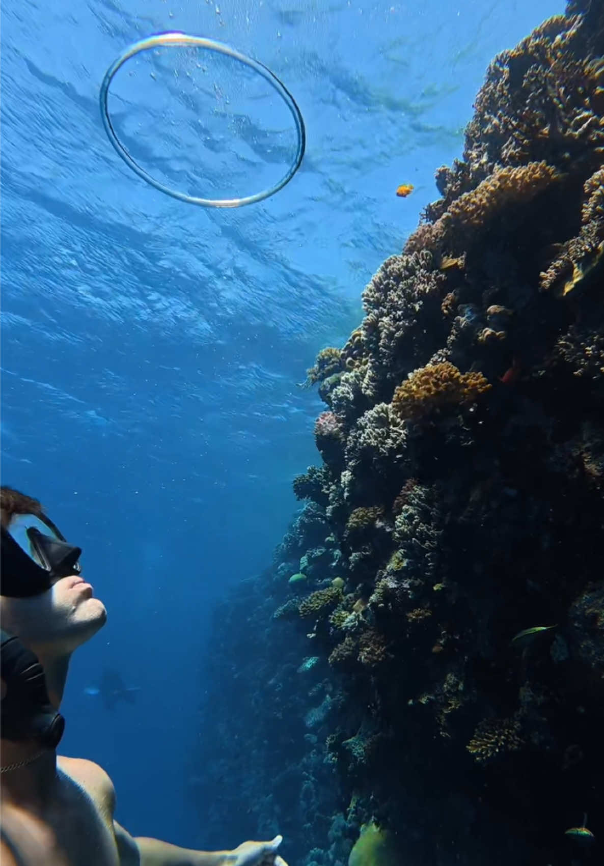 @George | Travel & Ocean