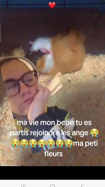 @opheliebonnet11