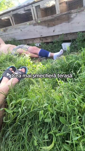 @Ilie Bălcuță