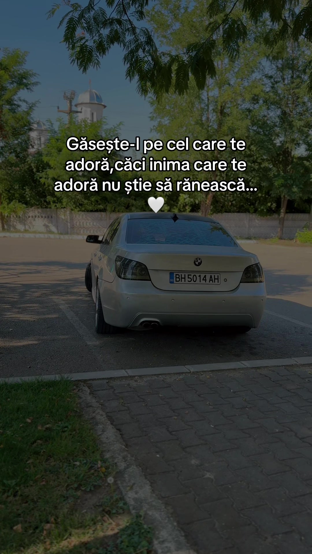 @Alin Marius
