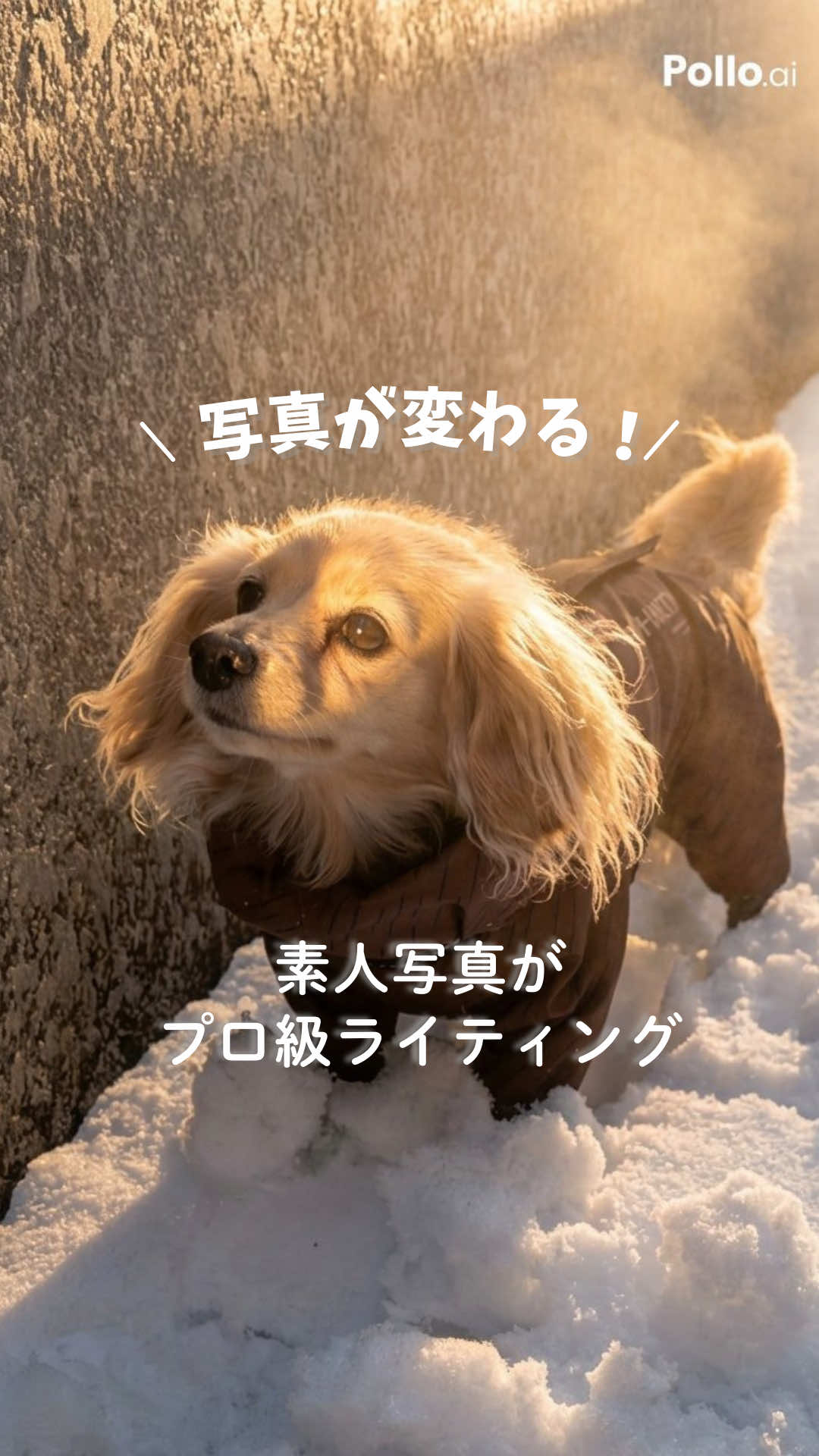 @🎀もあらなまぅ🎀