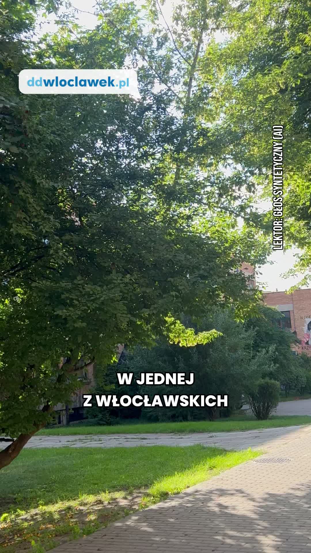 @ddwloclawek