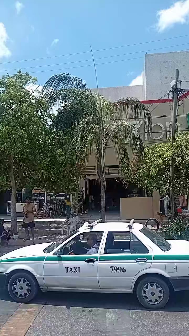 @jarochita ❤️❤️🫀🧠