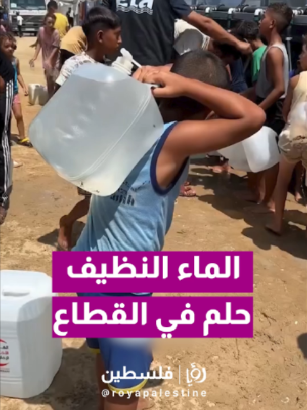 @Royapalestine رؤيا فلسطين