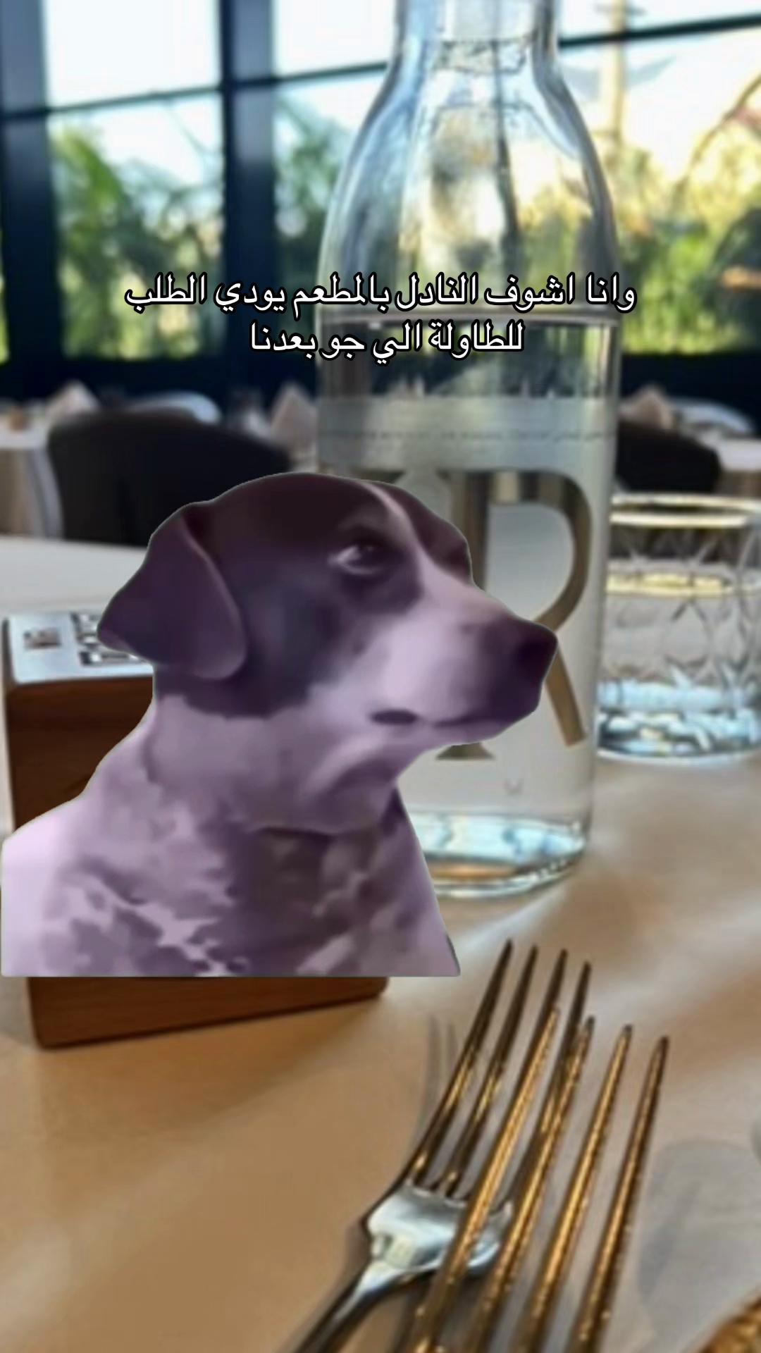 @Aisha🐉