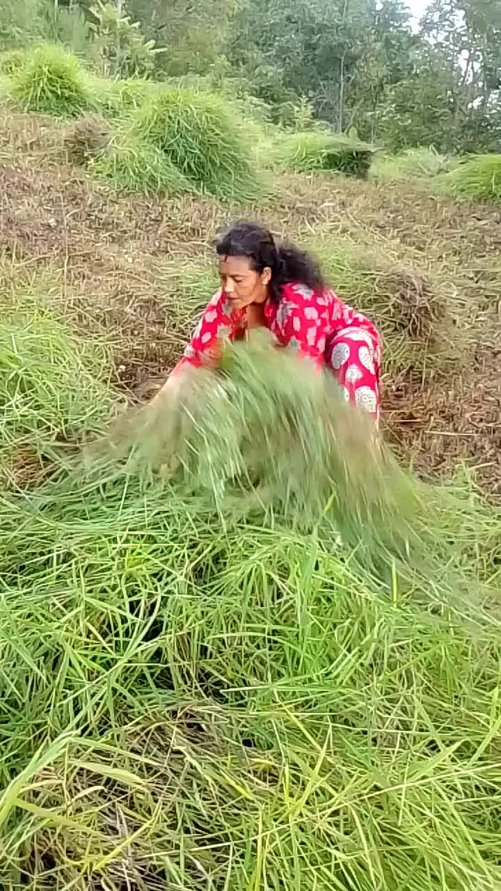 @Manita Badal