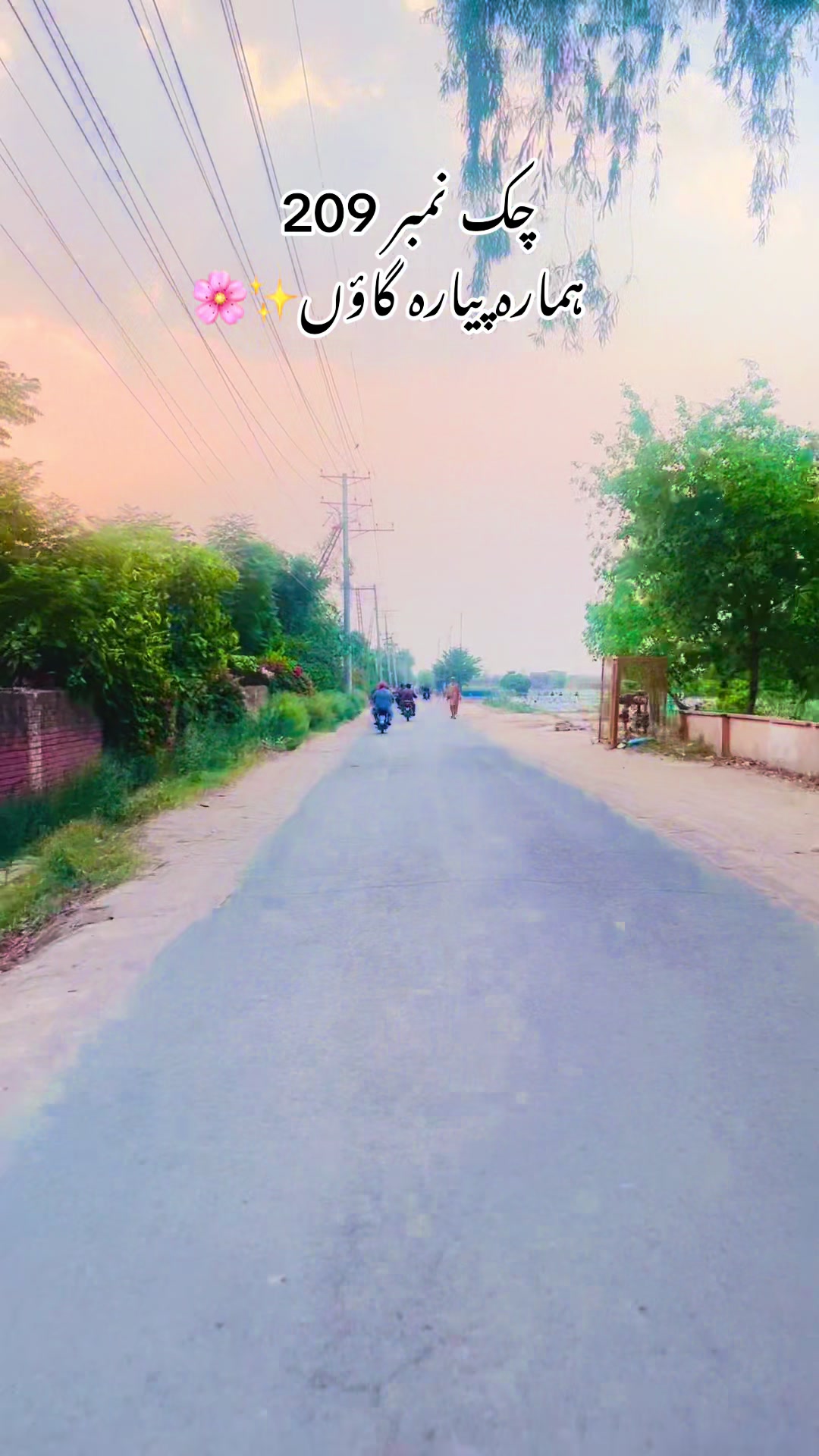 @merapind209