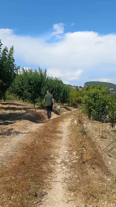 @KANCO HİZOL