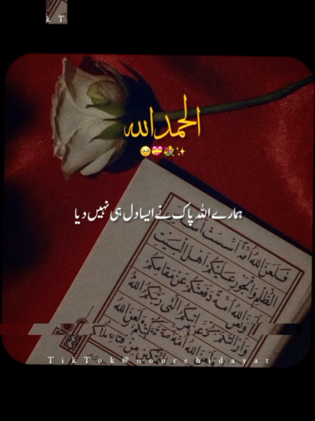 @Noor-e-Hidayat