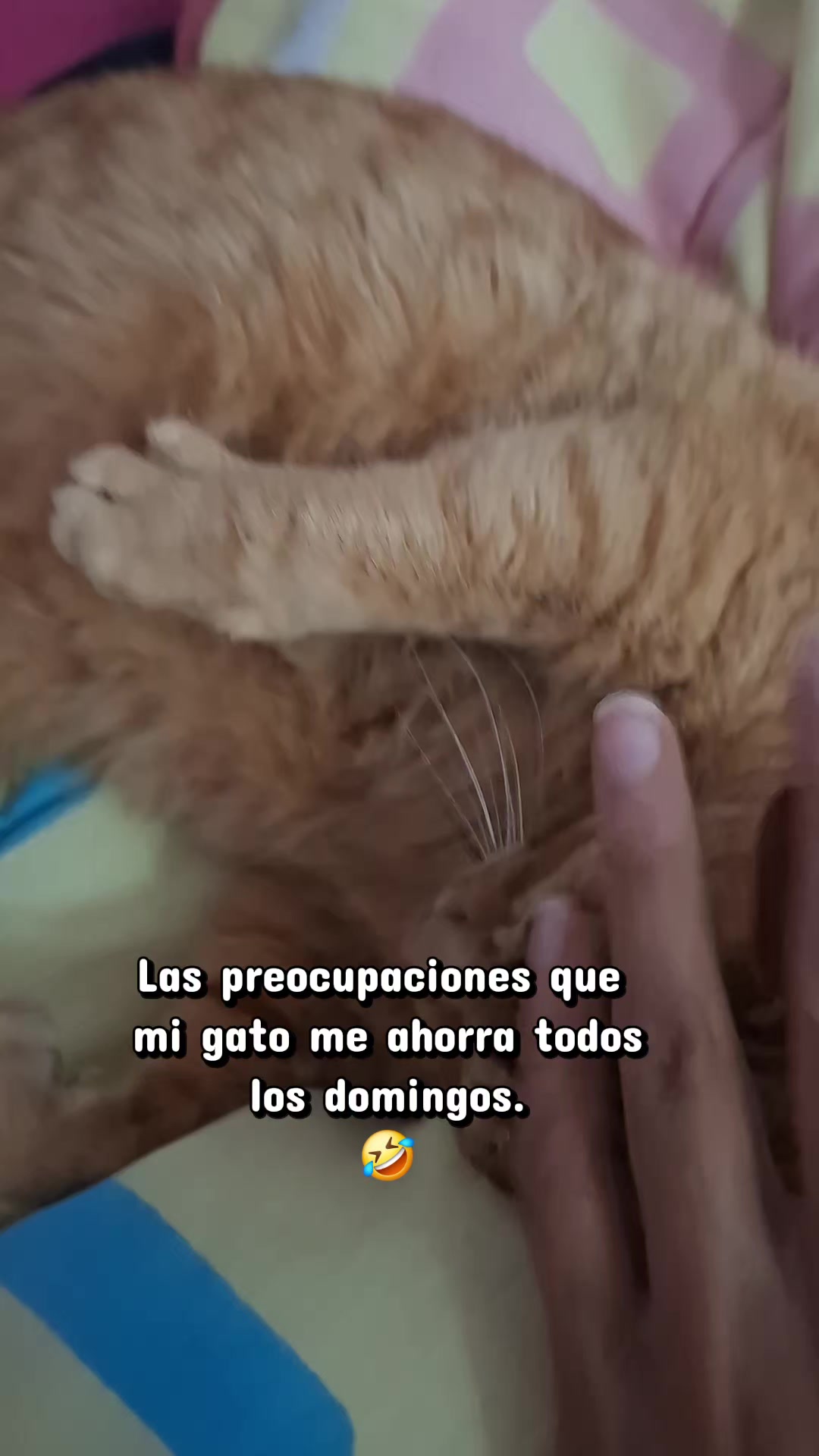 @Mary