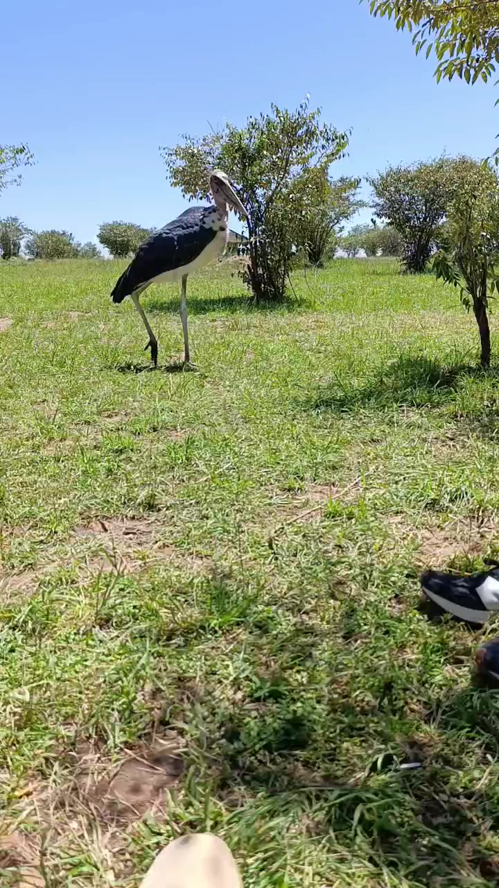 @Solvo Tours and Safaris