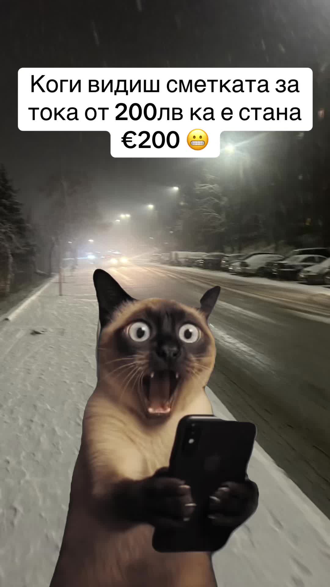 @Tseno Nechev