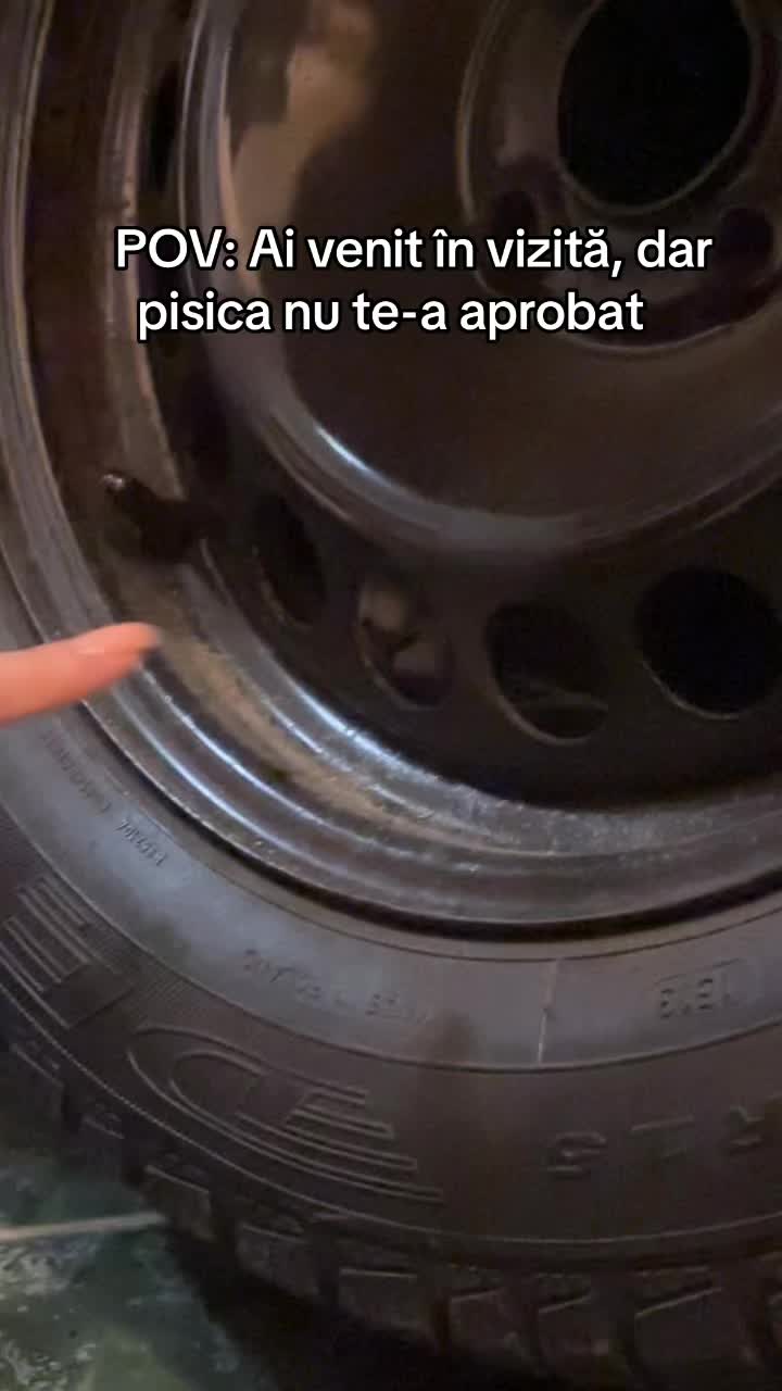 @zeyneppaulaaaa